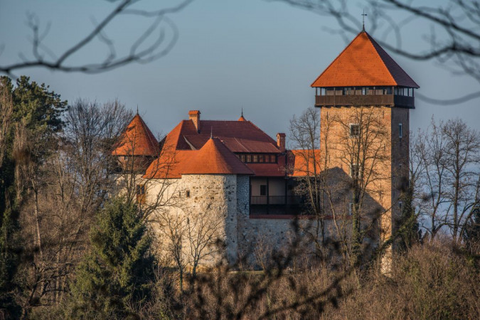 The Dubovac Castle, Vacation house Kezić